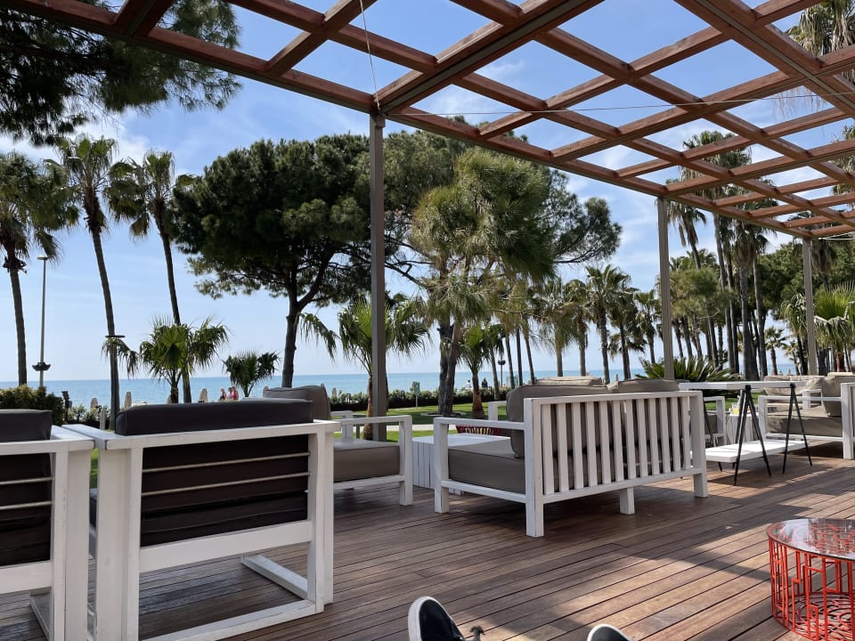 Gastro Acanthus Cennet Barut Collection