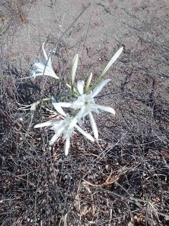 Ausblick Önder Yildiz Hotel