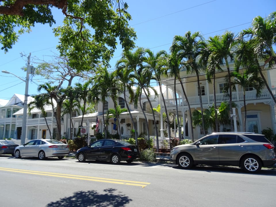 Außenansicht The Palms Hotel