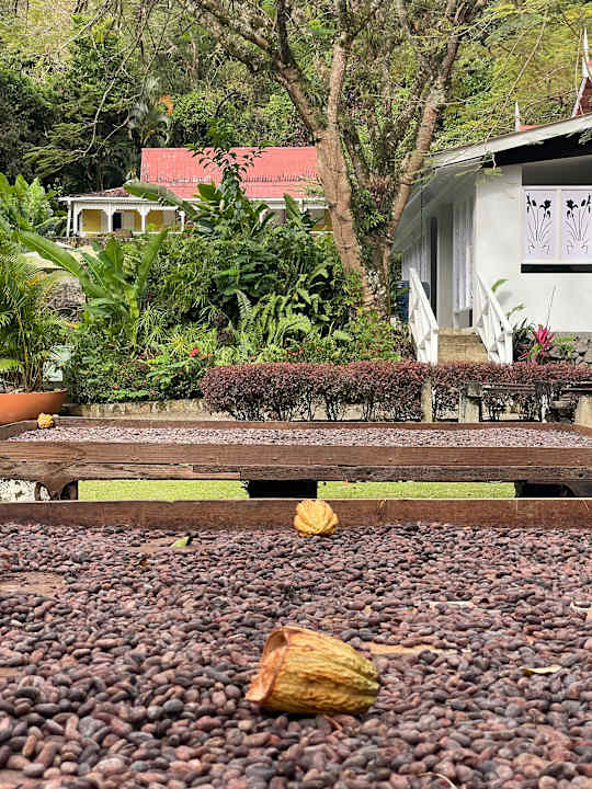 Gartenanlage Fond Doux Holiday Plantation