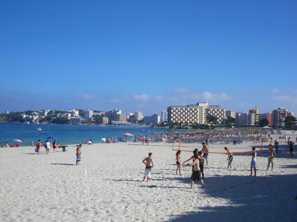 Strand groß Globales Palmanova