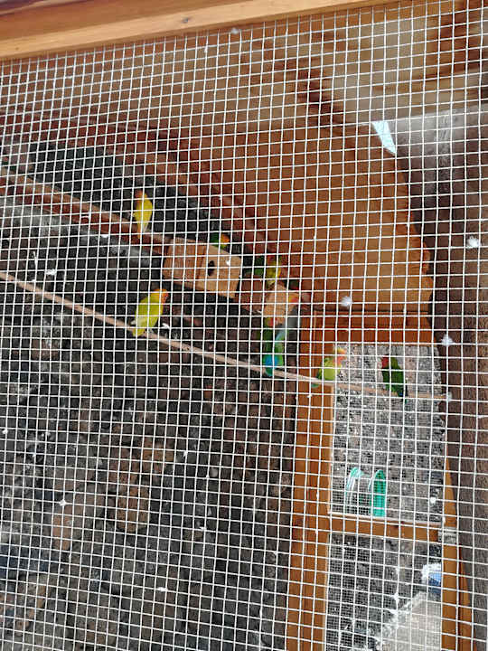 Pool Apartamentos Guacimeta