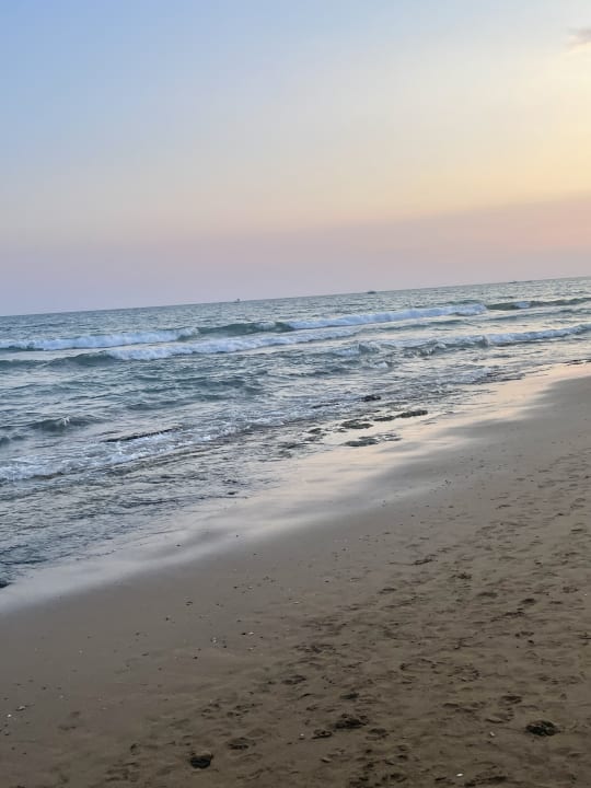 Strand Hotel Orfeus Park