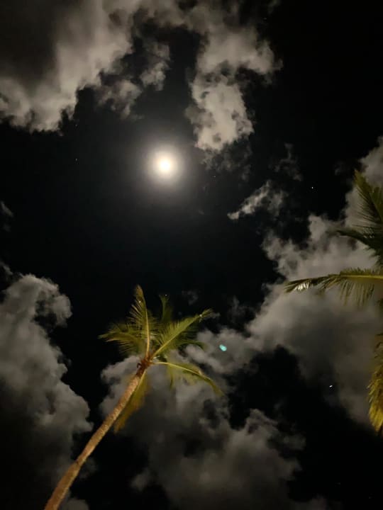Sonstiges Wyndham Alltra Samana