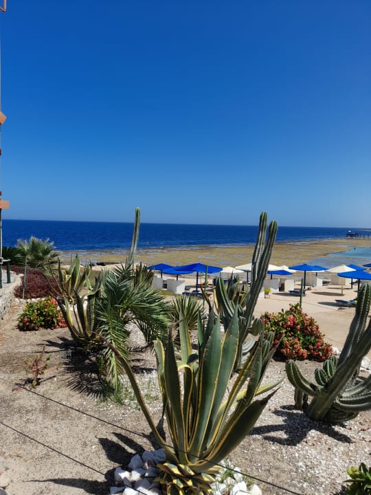 Ausblick Sentido Akassia Beach