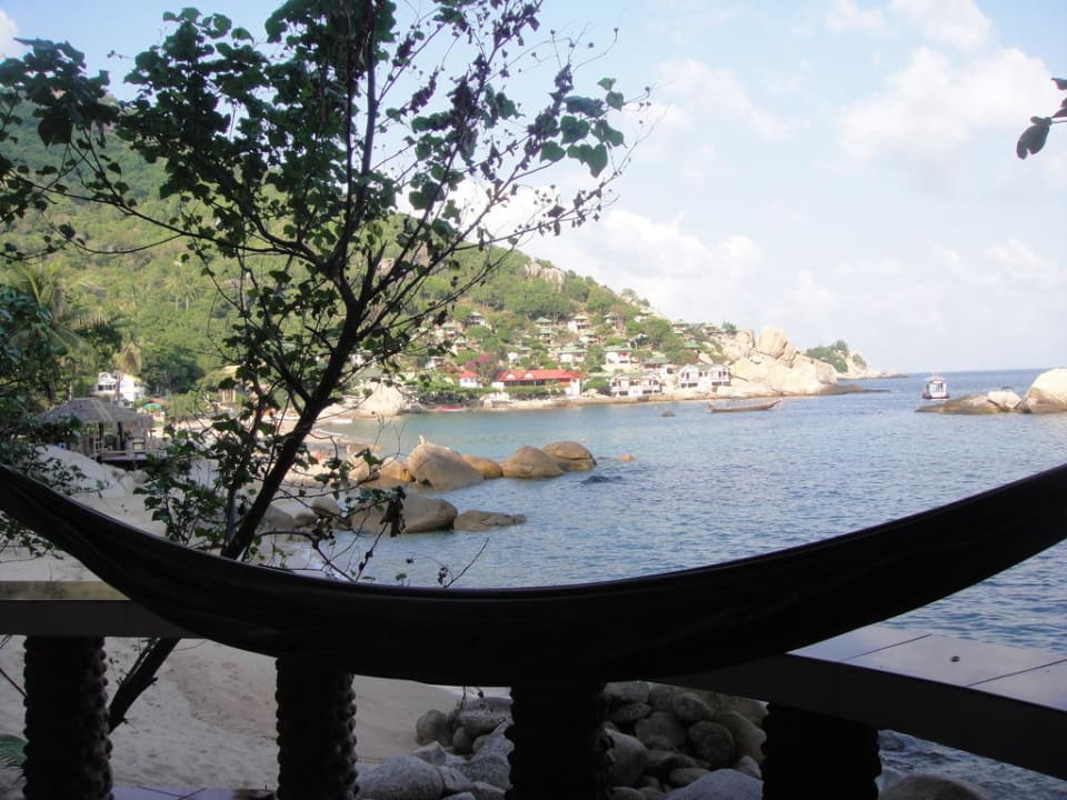 Terrasse mit Hängematte Mountain Reef Beach Resort