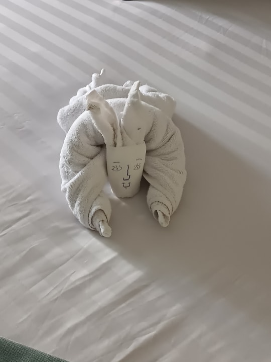 Zimmer Premier Le Reve Hotel & Spa