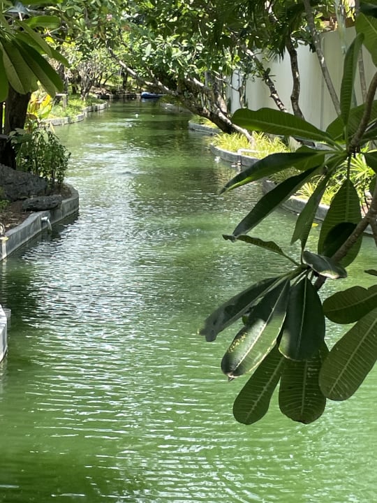 Gartenanlage Bandara Spa Resort & Pool Villas, Samui