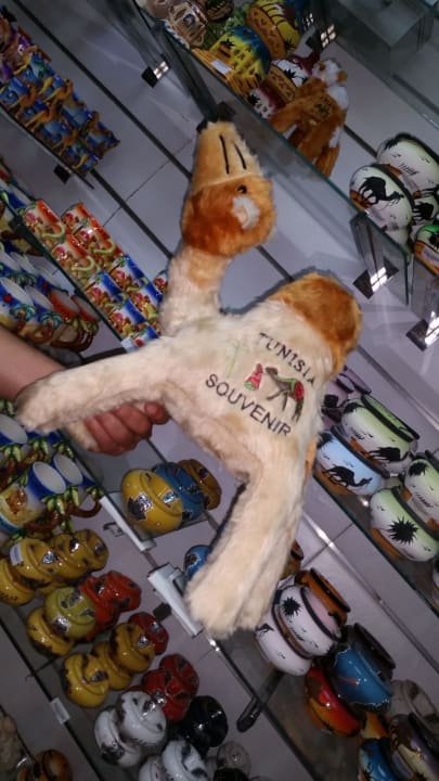 Im Hotelshop Hotel Amir Palace