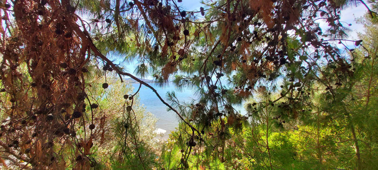 Gartenanlage Paloma Pasha