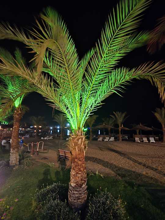 Außenansicht Coral Sun Beach
