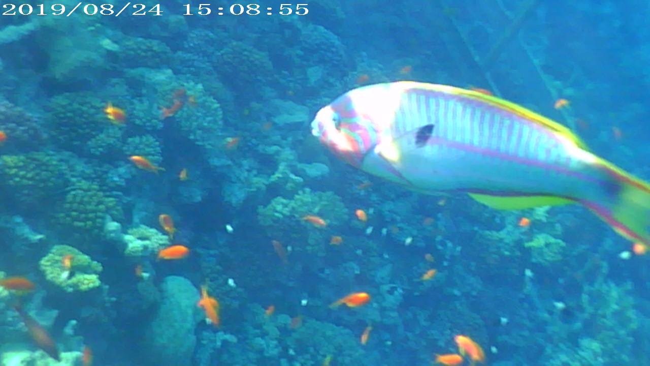 Strand Serenity Alpha Beach