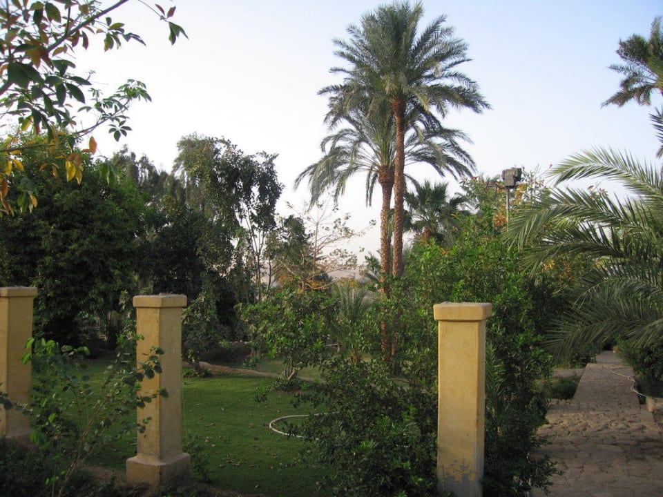 Garten des Hotels Hotel Basma Aswan