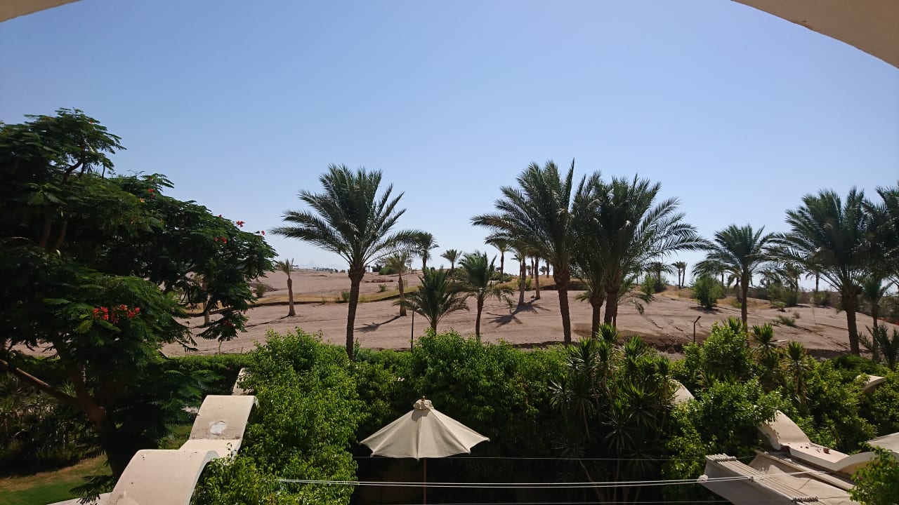 Ausblick Hotel JAZ Makadi Star & Spa
