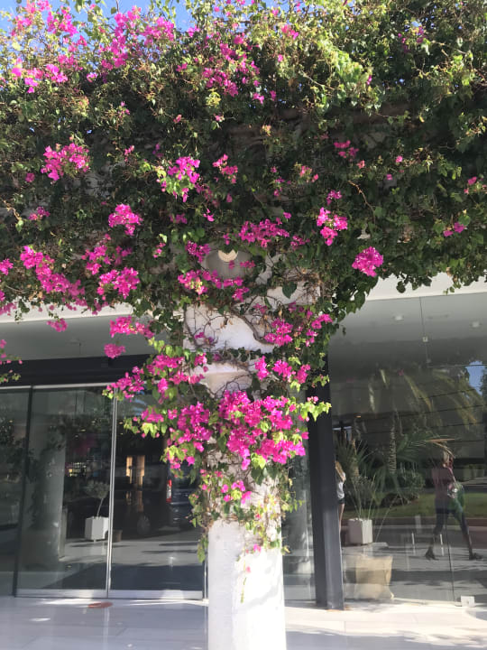 Außenansicht Anissa Beach & Village