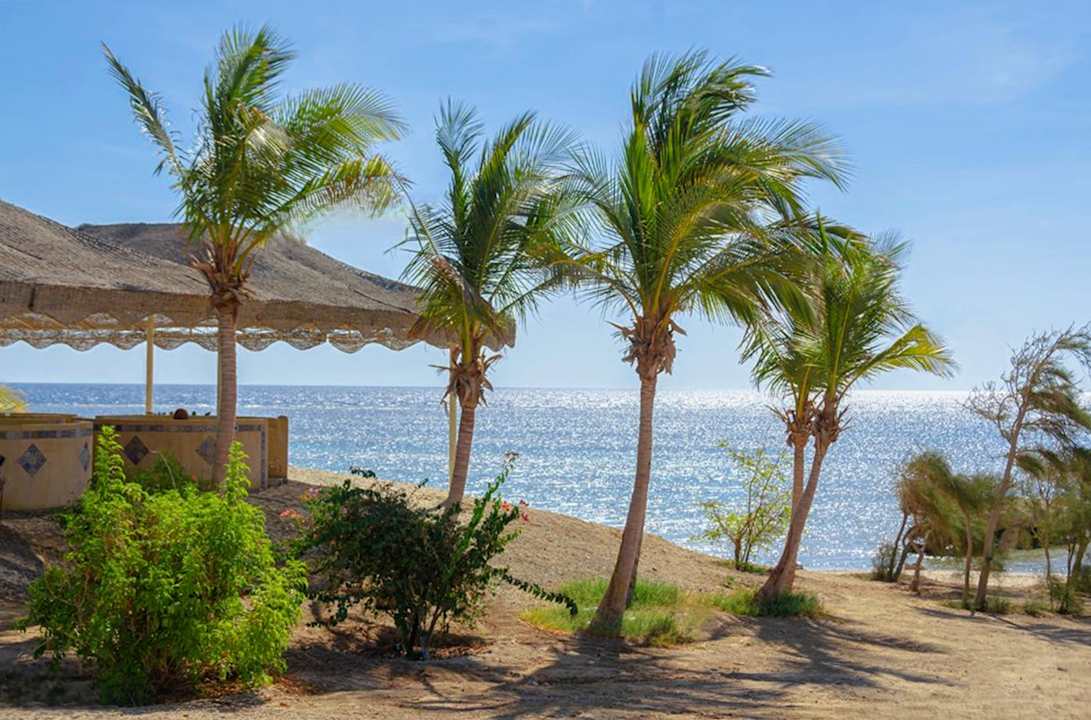 Strand Hotel Mangrove Bay Resort