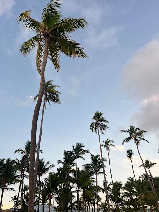 Strand Hotel Riu Palace Macao - Adults only