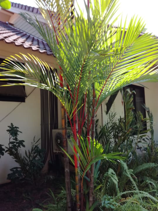 Gartenanlage Baan Khaolak Beach Resort