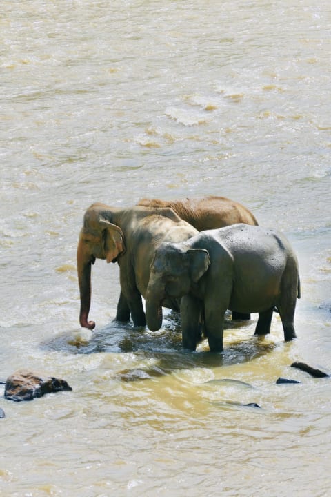 Sport & Freizeit Tangerine Beach Hotel