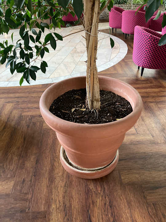 Lobby Best Western Parkhotel Brehna - Halle