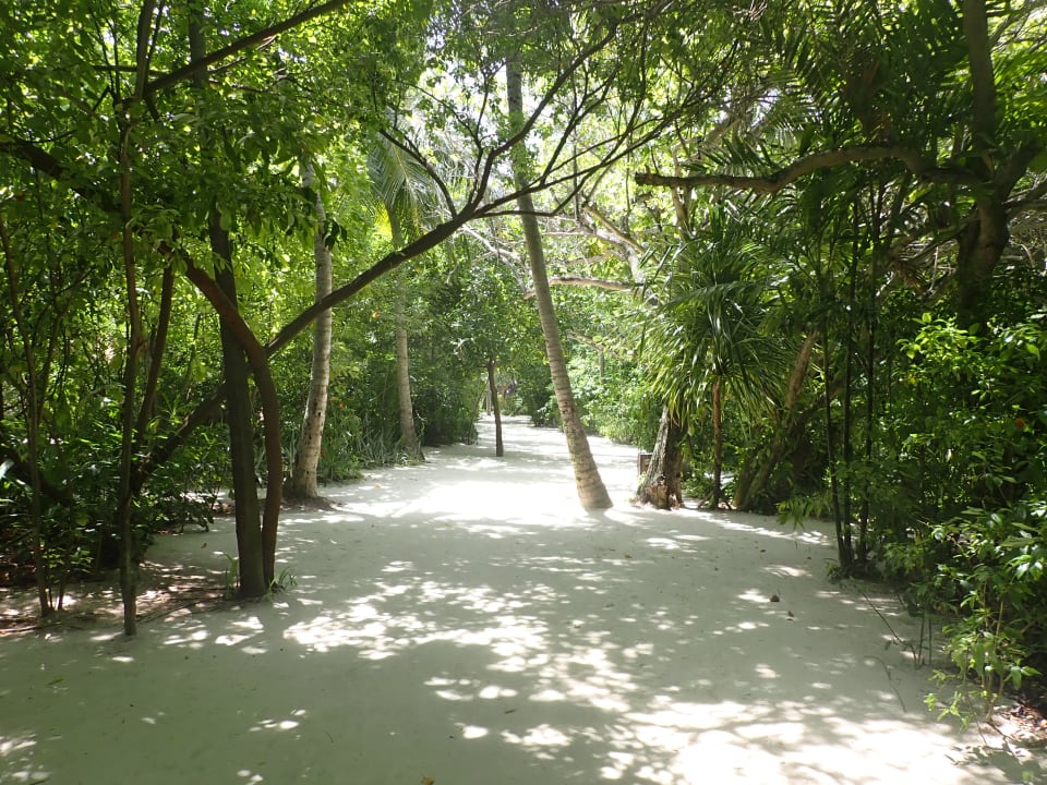 Gartenanlage Summer Island Maldives