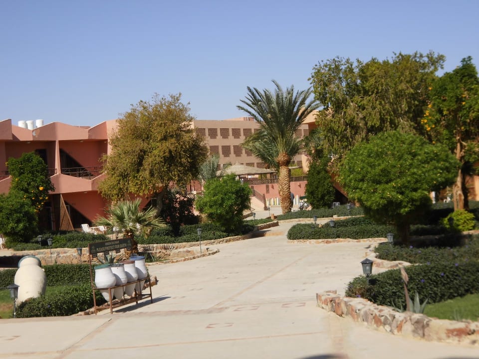 Gartenanlage Eagles Paradise Abu Soma