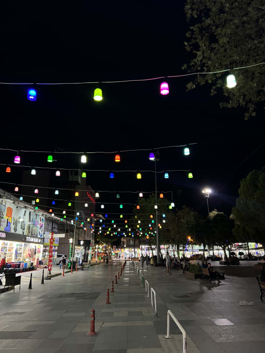 Ausblick Papillon Ayscha