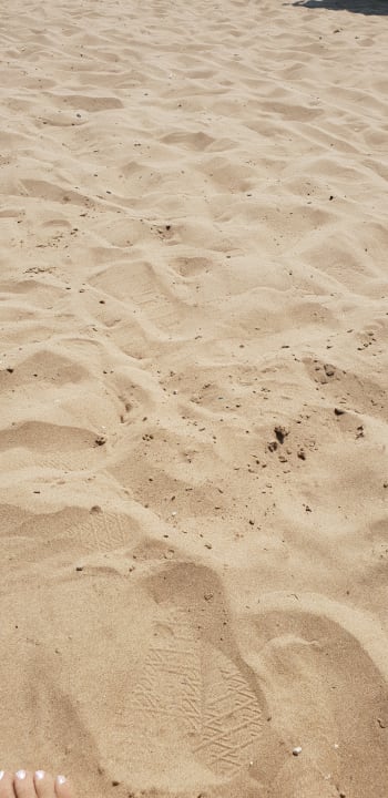 Strand Paloma Oceana