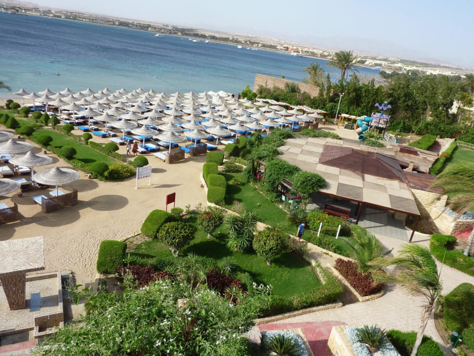 Gorgeous beach of the hotel Prima Life Makadi Resort