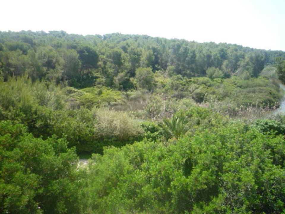 Blick von der Hotelterrasse Hotel Exagon Park