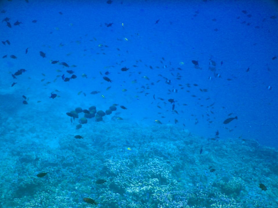 Sport & Freizeit Hondaafushi Island Resort