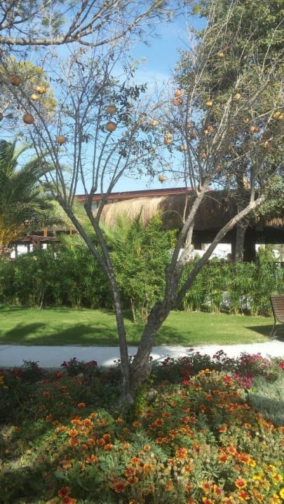Im Hintergrund Poolbar Atlantique Holiday Club
