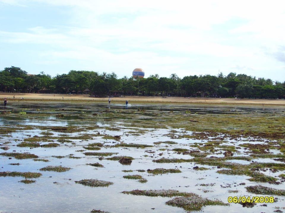 Hote Strand bei Ebbe Paradisus by Melia Bali