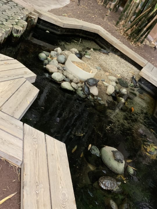 Lobby Lopesan Baobab Resort