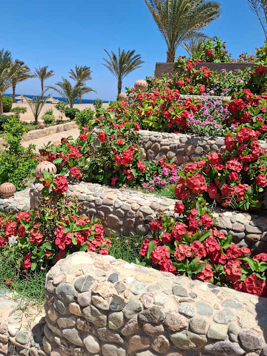 Außenansicht Coral Sun Beach