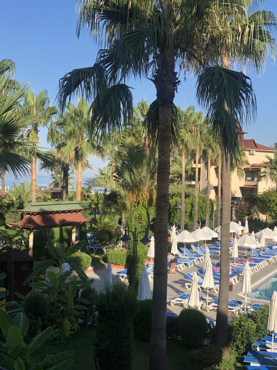 Pool Saphir Hotel & Villas
