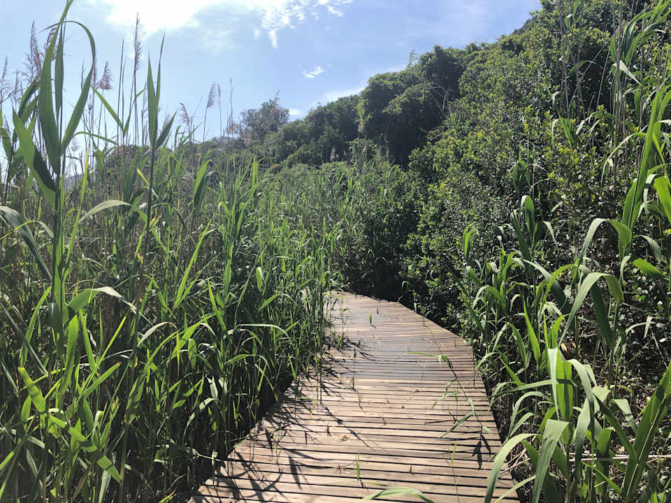 Garten Serendipity Country House