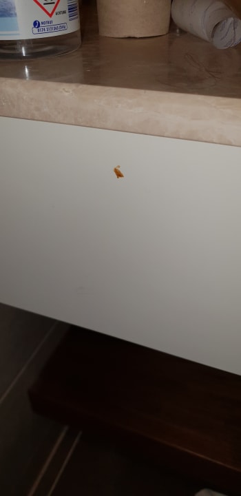 Zimmer Well Palace Side