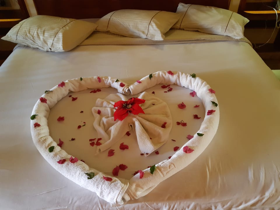 Zimmer Grand Waterworld Makadi & Family Star Makadi