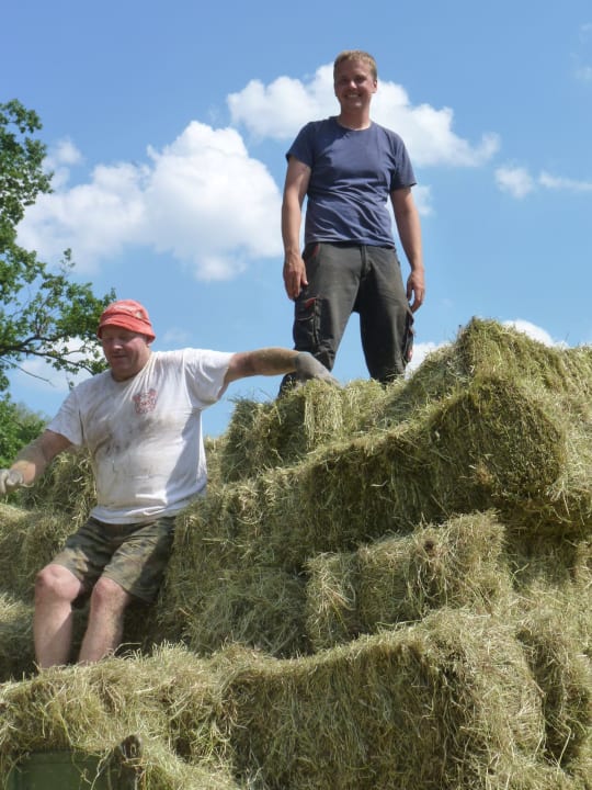 Sonstiges Ferienbauernhof Leverenzhof