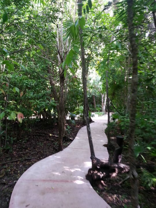 Hotel Catalonia Playa Maroma Catalonia Playa Maroma