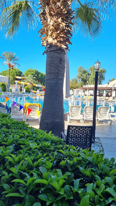 Pool Sunis Elita Beach Resort & Spa