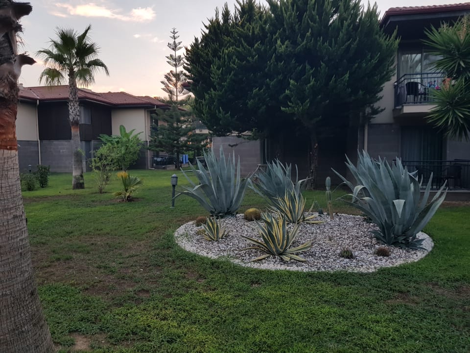 Gartenanlage TUI BLUE Palm Garden