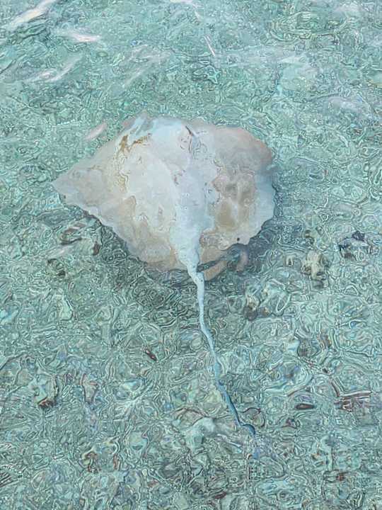 Sonstiges Thulhagiri Island Resort