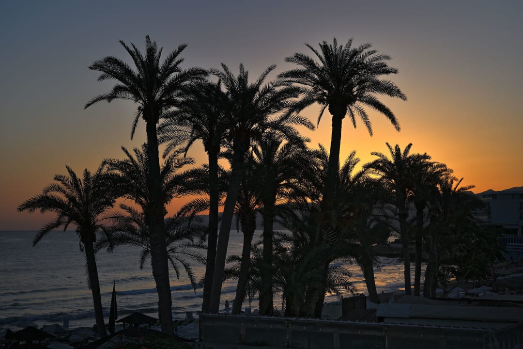 Ausblick Zeus Hotels Palm Beach