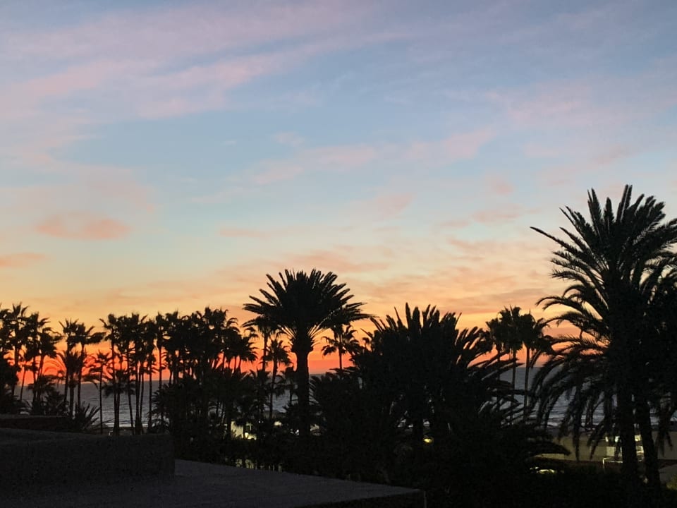 Ausblick Hotel Riu Palace Oasis