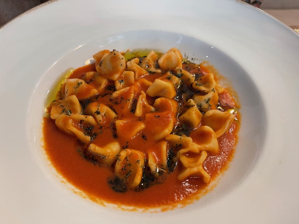 Gastro Acanthus Cennet Barut Collection