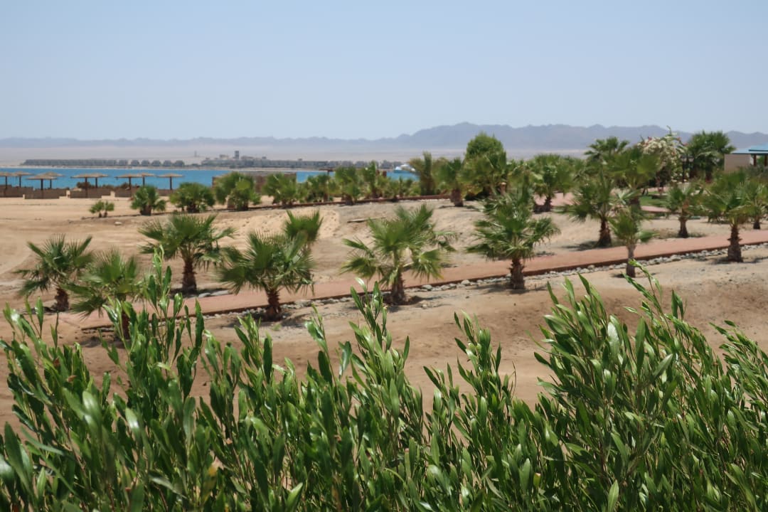 Ausblick Lahami Bay Beach Resort