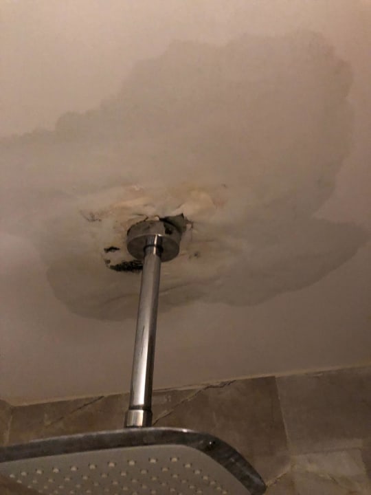 Zimmer Hotel Botanik Platinum