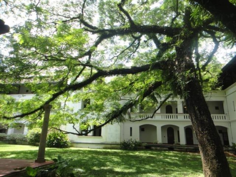 Atrium with raintree Hotel Brunton Boat Yard